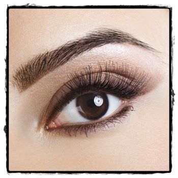 Eyebrow Tips