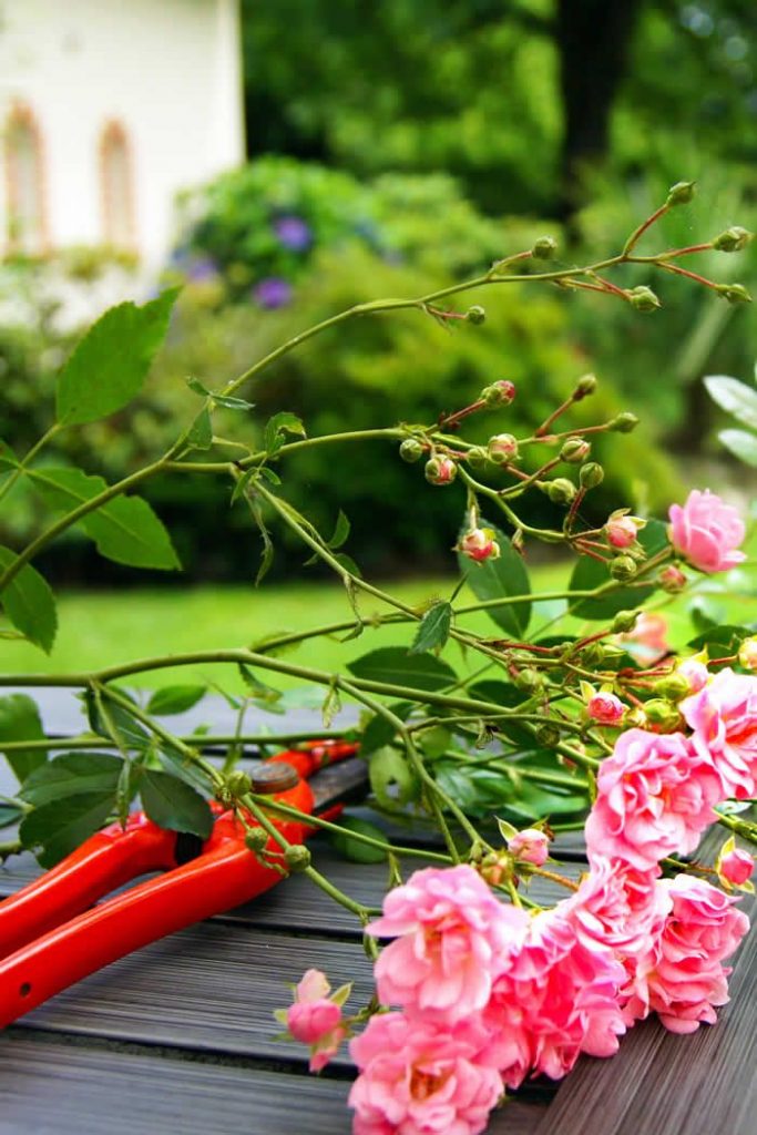 Easy Tips for Summer Home Care