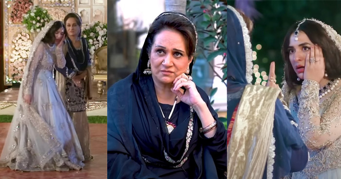 Bushra Ansari