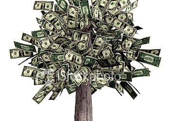 How to save money in fashion