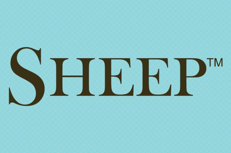 SHEEP Introduce Four Brand New Fashion Lines and a Shop From Home Service!