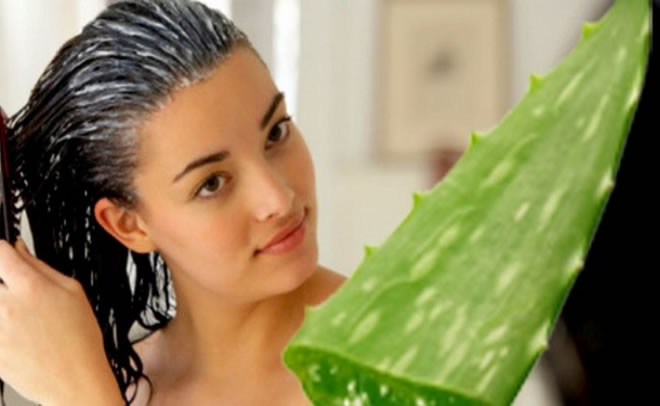 Natural Hair Care Tips