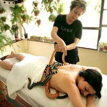 Snake Massage