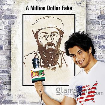 Ali Zafarâ€™s appeal to uplift the ban on â€˜Tere Bin Ladenâ€™