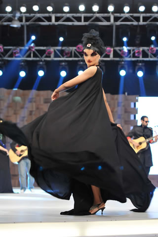 Ali Xeeshan - Lux Style Awards 2011