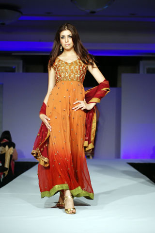 Mehdi at Rhythm of Asia Fashion Show 2011