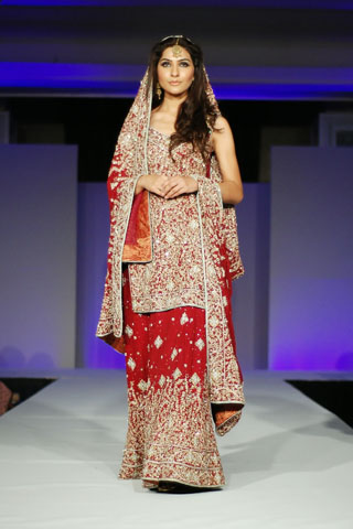 Mehdi at Rhythm of Asia Fashion Show 2011