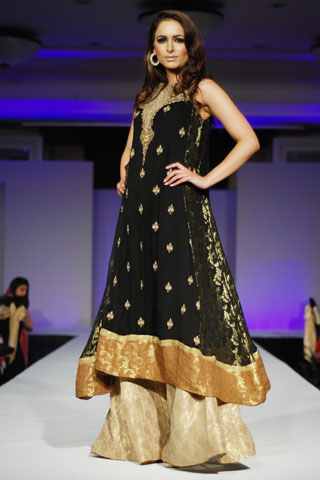 Mehdi at Rhythm of Asia Fashion Show 2011