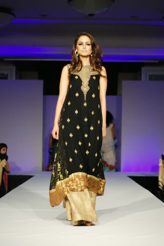 Mehdi at Rhythm of Asia Fashion Show 2011