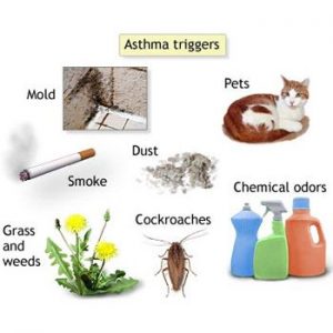 5 Common Asthma Triggers