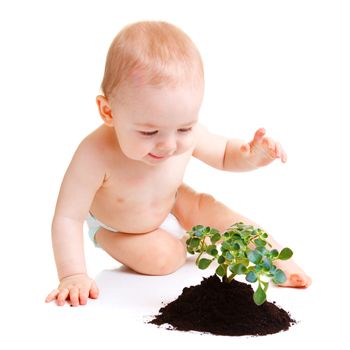 Are Babies Afraid of Plants?