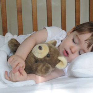 Baby Sleep Solutions
