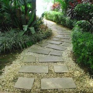 Beautiful Gardens with Pathways