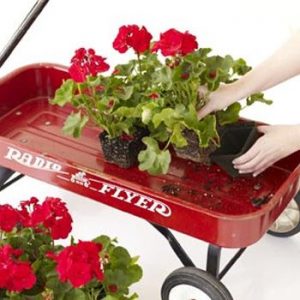 Decor Your Garden With Wagon Flower Display