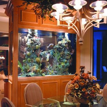 Decorating Your Home With Beautiful Aquarium Design Ideas