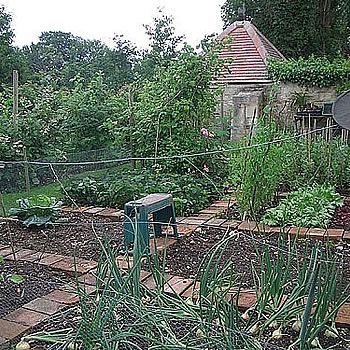 Vegetable Gardening