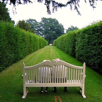Gardening Tips for a Colorful and Green Garden