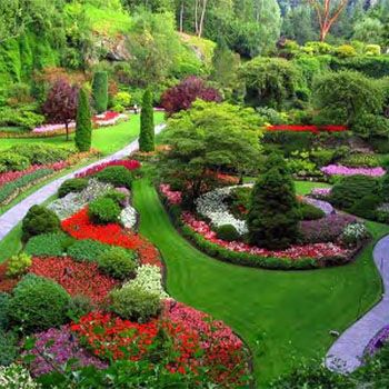 How To Protect Your Garden During A Harsh Summer