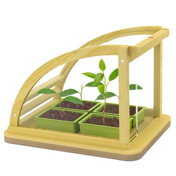 How to Make a Mini Greenhouse