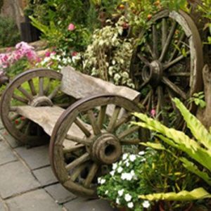 Winter Garden Decoration Ideas