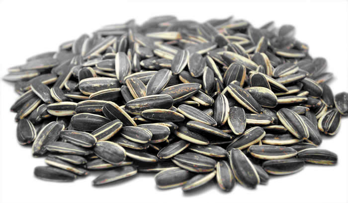 Sunflower seeds