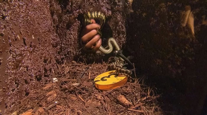 Boxer Amir Khan gets Scared after Mistakenly Grabbing Snakes