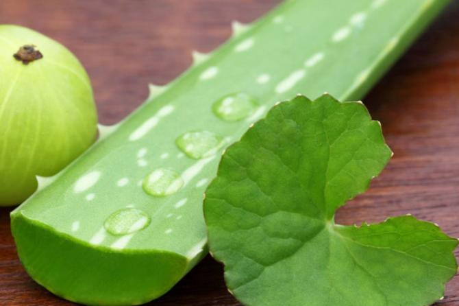 Aloe Vera Homemade Face Packs That Can Cure Any Type Of Skin Problem