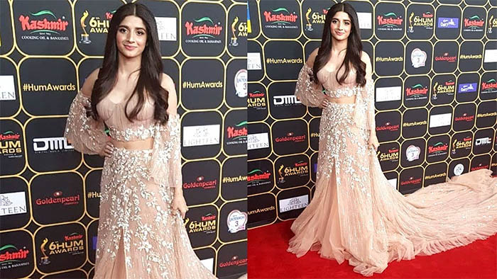 The Best and Worst Dressed Celebrities at Red Carpet of Hum Awards 2018