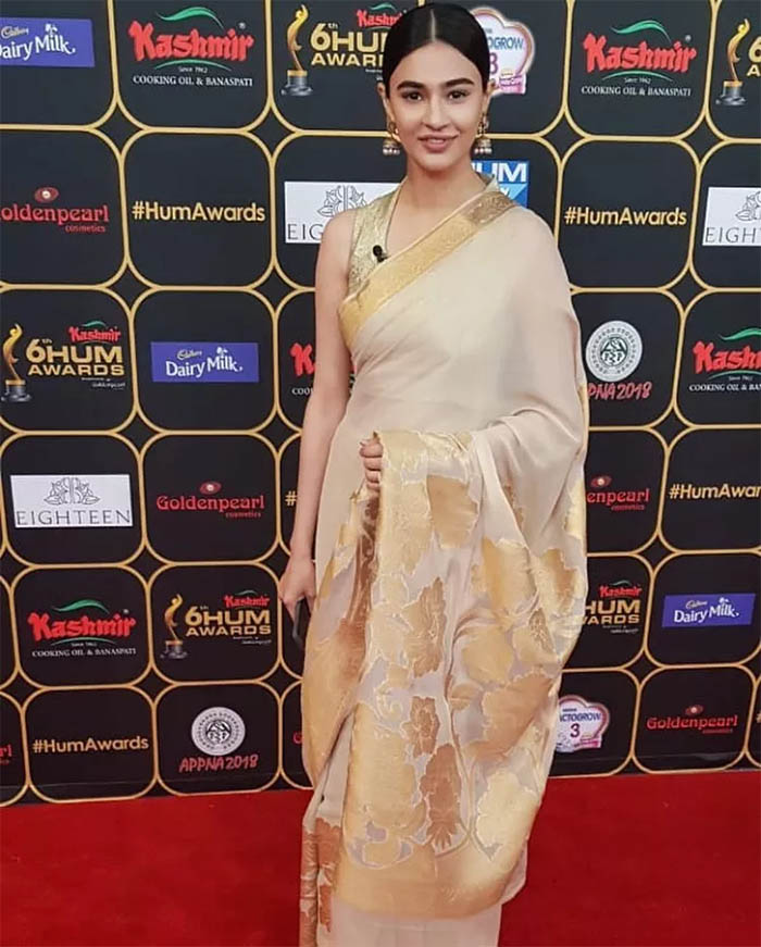 The Best and Worst Dressed Celebrities at Red Carpet of Hum Awards 2018