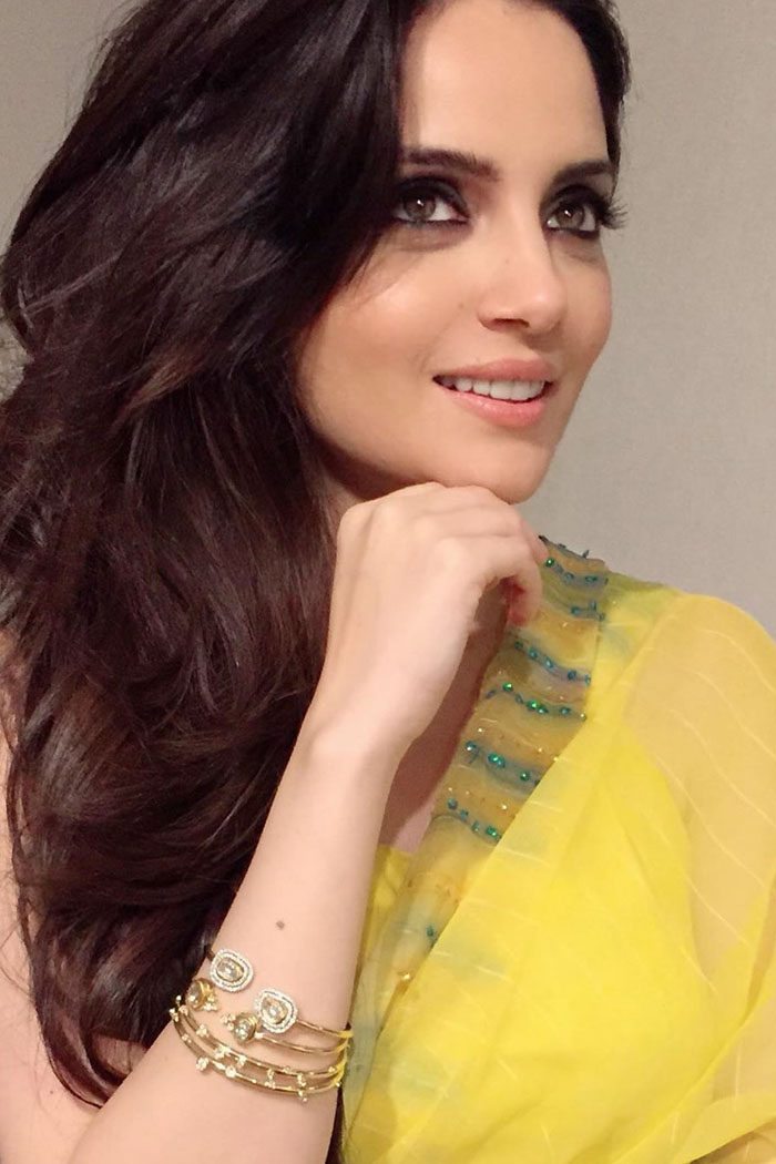 Armeena Khan images