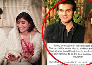 Syra Shehroz and Shehroz Sabzwari Are Divorced