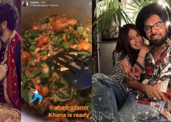 What to do during a Lock Down, Inspired by Pakistani Celebs