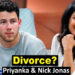 Did Nick Jonas and Priyanka Chopra Get Divorced?