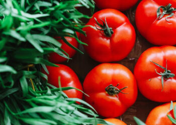 How To Establish A Sun Dried Tomato Business