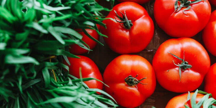 How To Establish A Sun Dried Tomato Business
