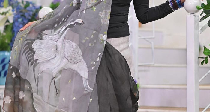 Hira Mani’s Odd Saari Shirt, People Can’t Stop Talking