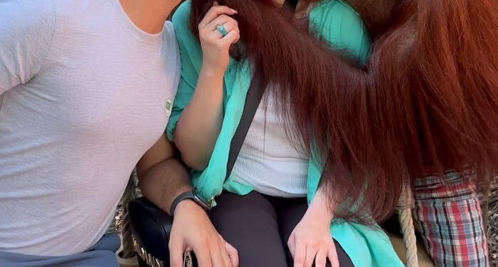 Ahsan Mohsin Ikram and Monkey Kissing Minal Khan, Video Goes Viral
