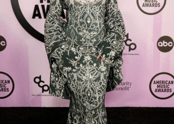 2022 American Music Awards: See Every Star on the Red Carpet