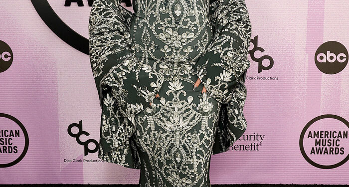 2022 American Music Awards: See Every Star on the Red Carpet