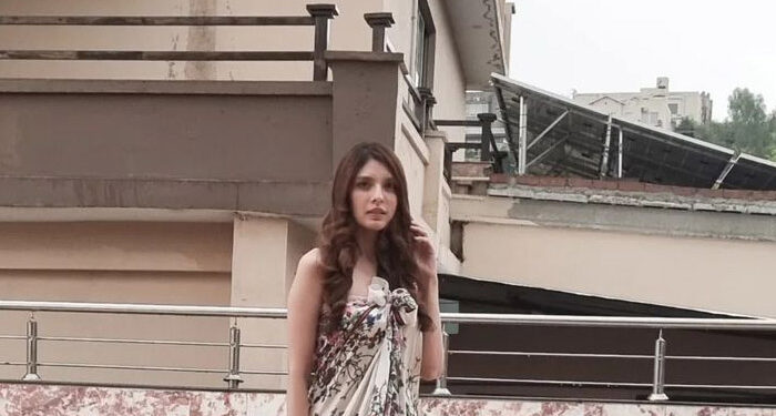 Saeeda Imtiaz images