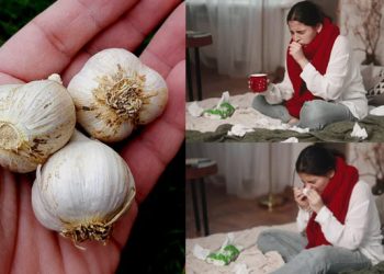 Garlic